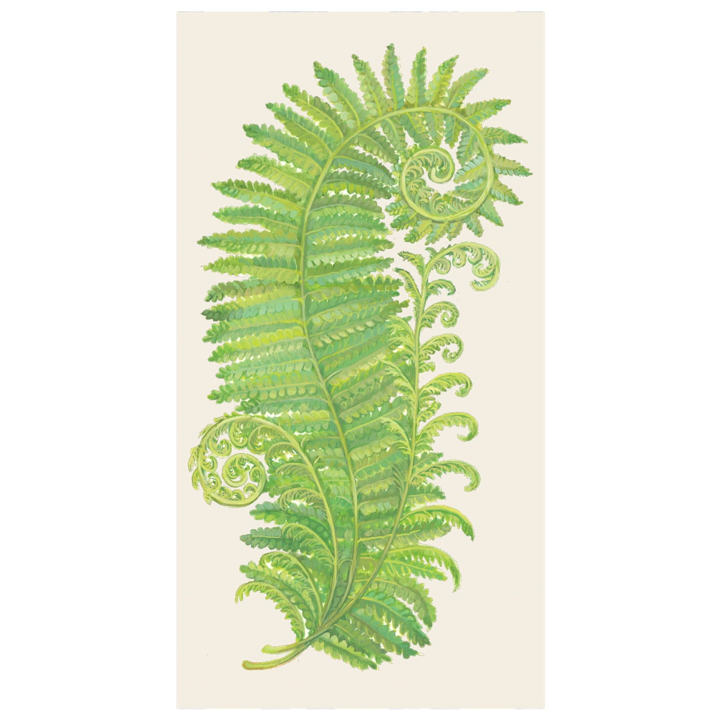 Servilletas Fern