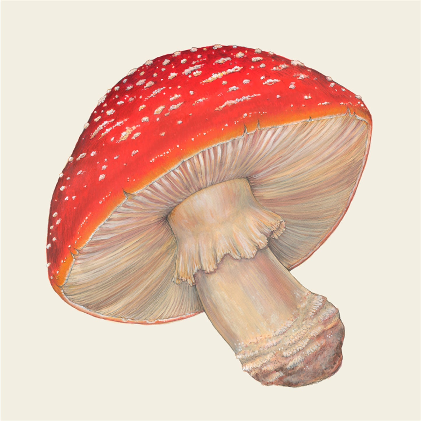 Servilletas Hongos