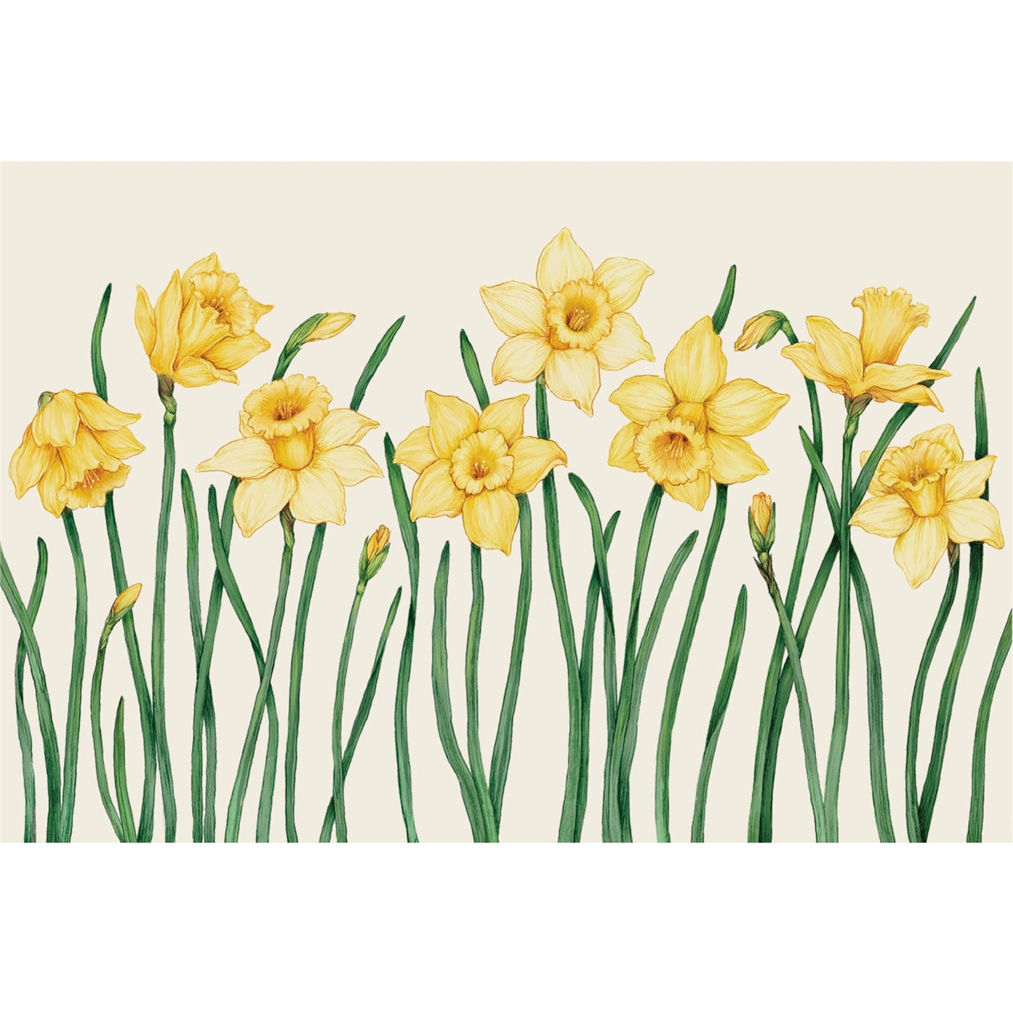 Individual de papel Campo de narcisos