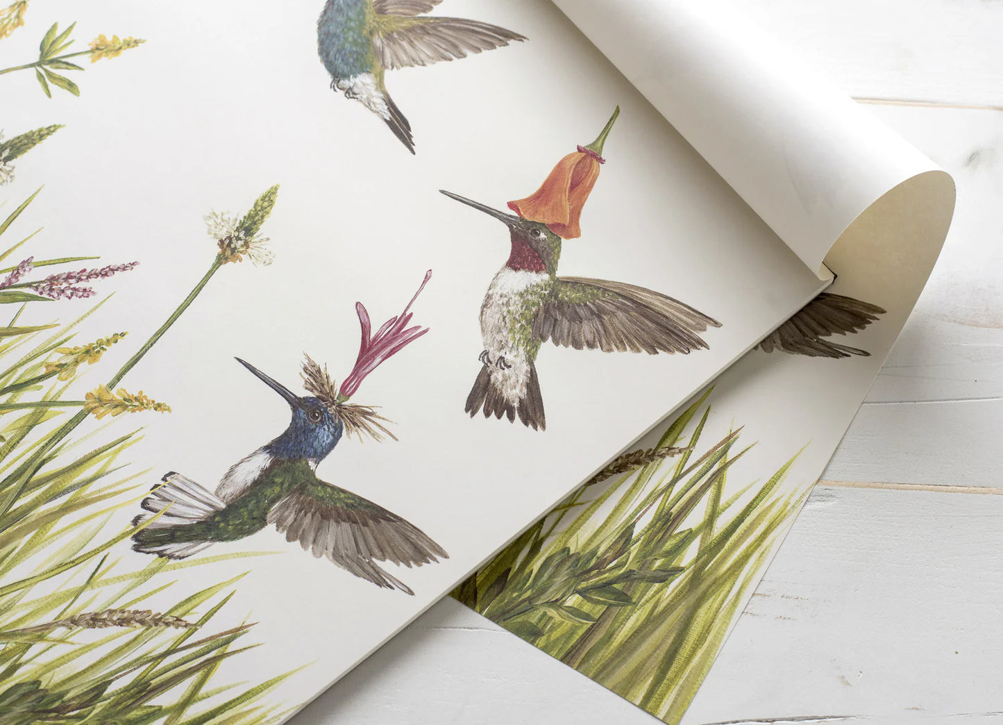 Individual de papel Hummingbirds