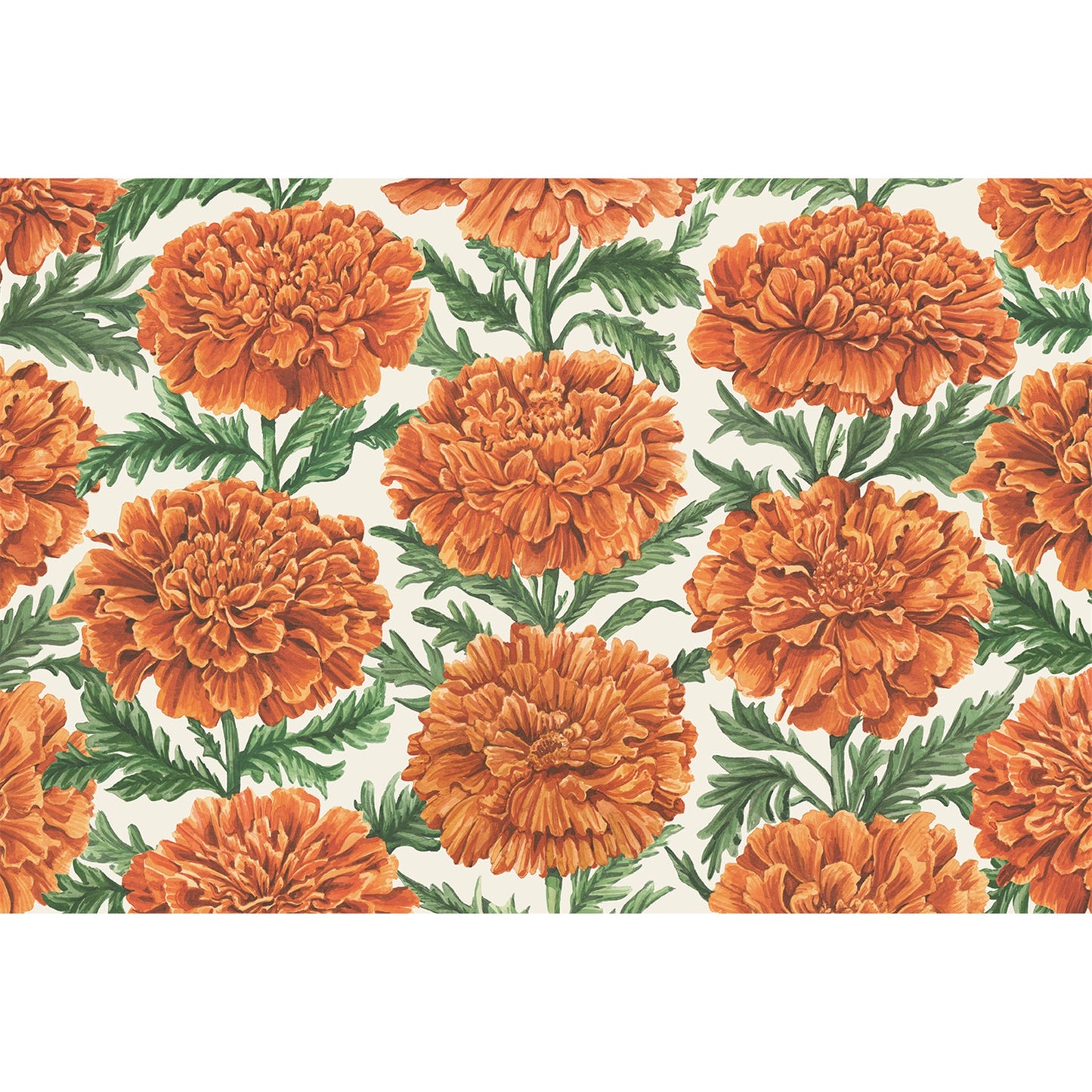 Individual Marigold Harvest