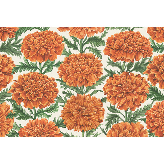 Individual Marigold Harvest