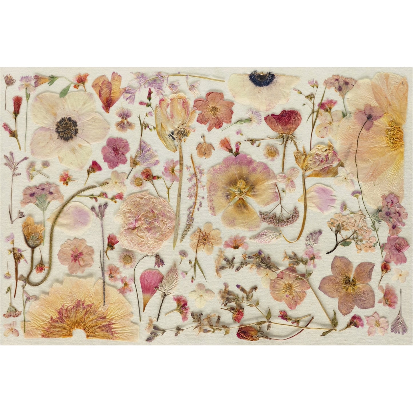 Individual de papel Blush Pétalos