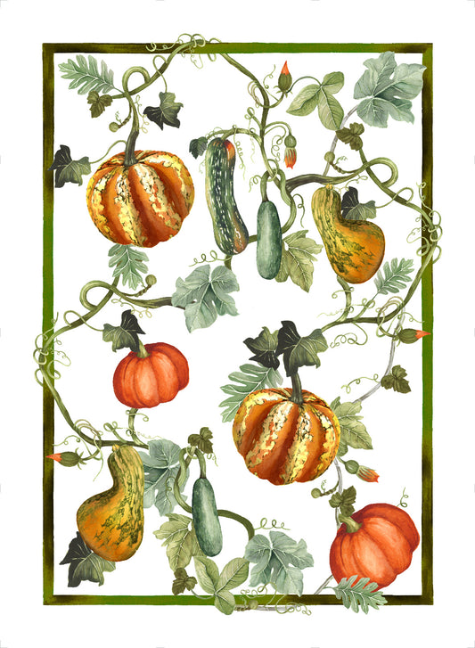 Toalla de Té - Kurbis Calabazas
